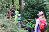 Kinder mit bunten Käppis und Rucksäcken laufen durch den Wald